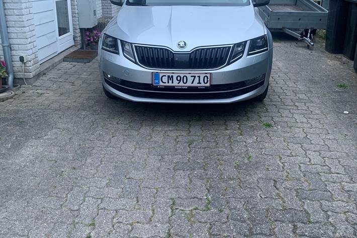 Grå Skoda Octavia fra 2019
