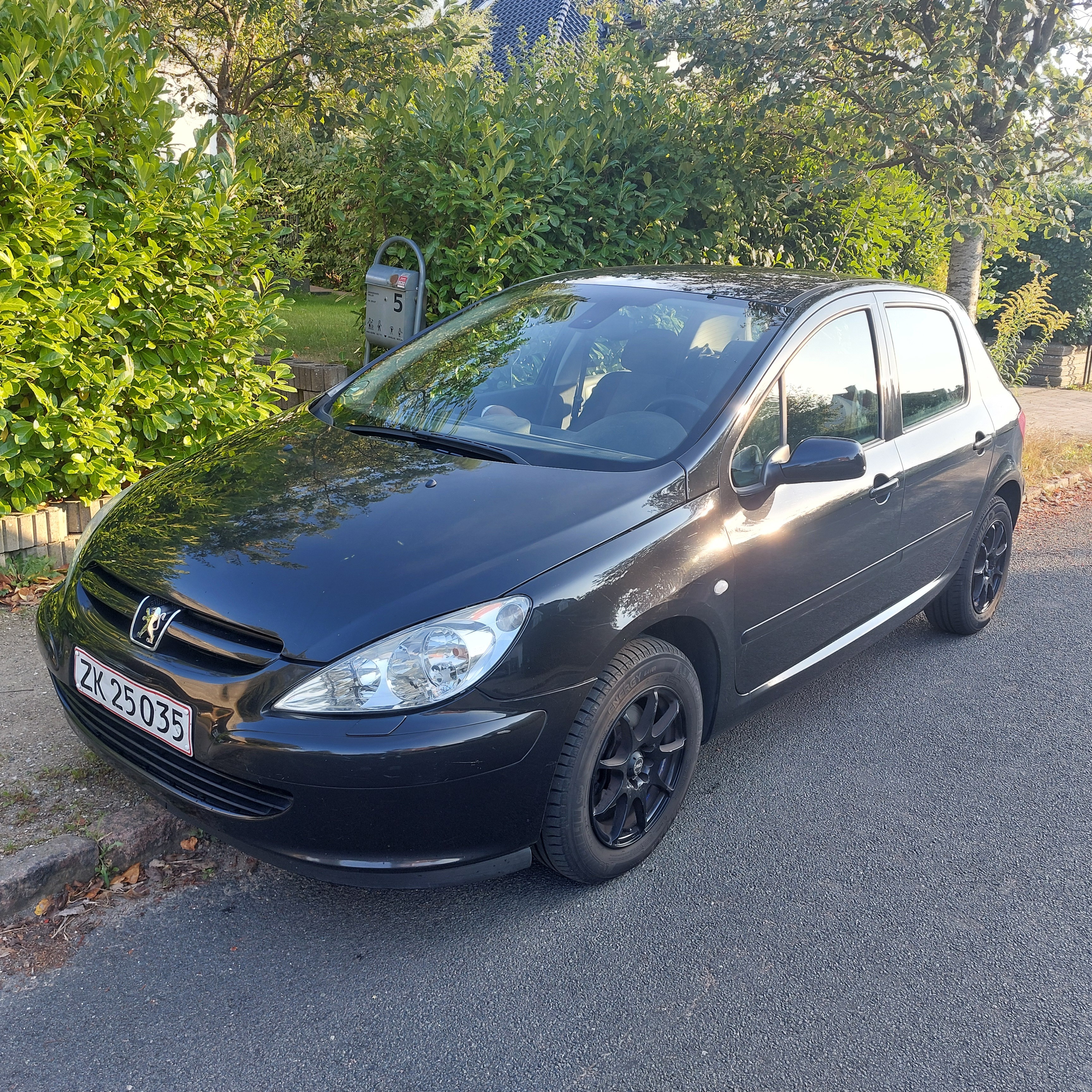 Peugeot 307 1,6 1,6 HDI 5 D