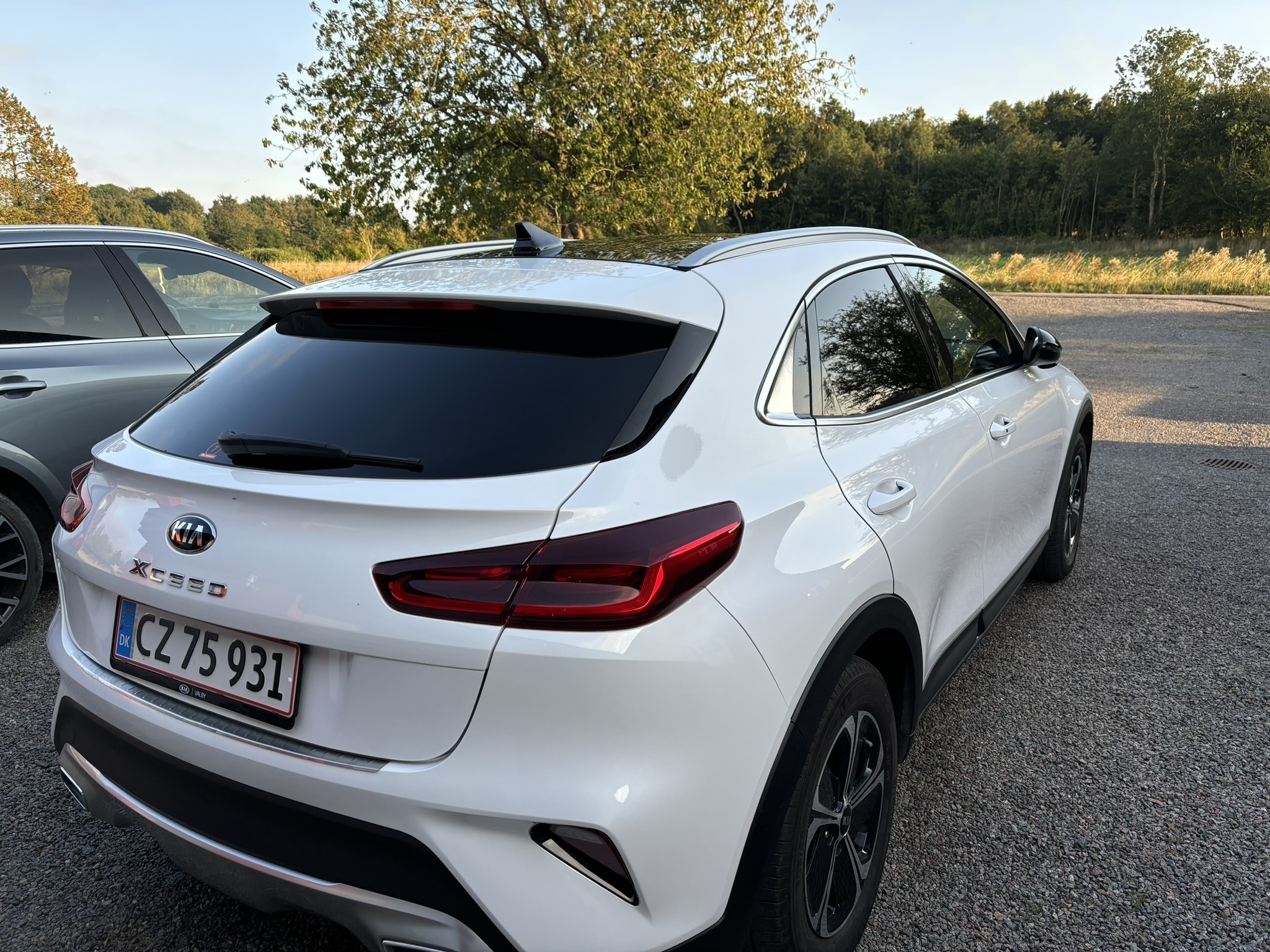 Kia XCeed 1,6 GDI Plug-in Hybrid 5-dørs DCT 6