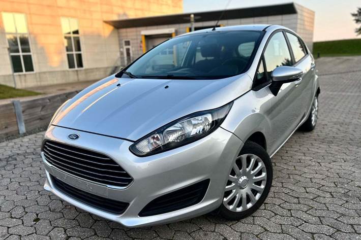 Grå Ford Fiesta fra 2014 set udefra