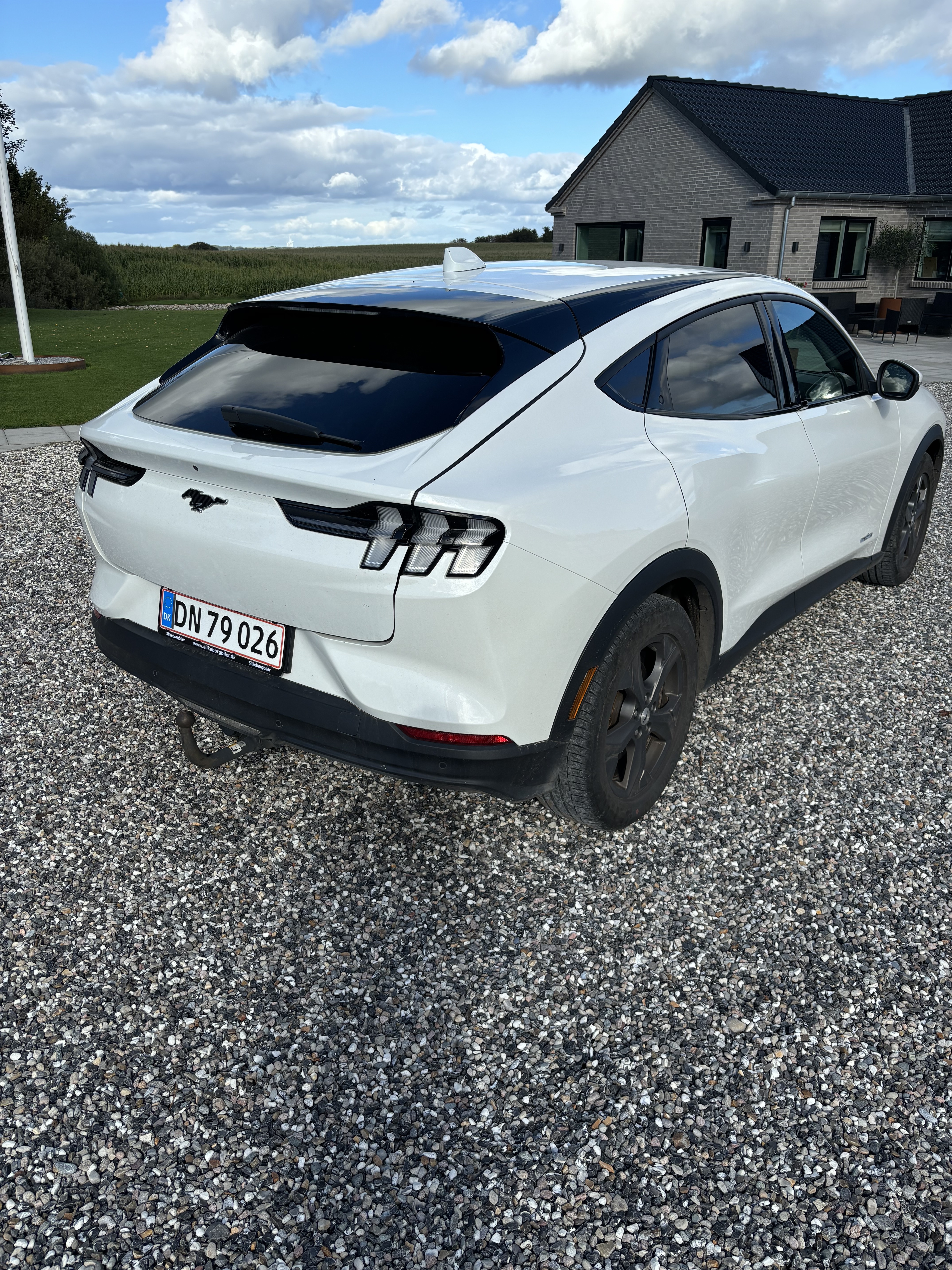 Ford Mustang Mach-E 221 kw