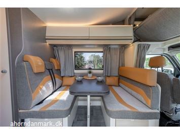 undefined Ahorn CANADA fra 2025