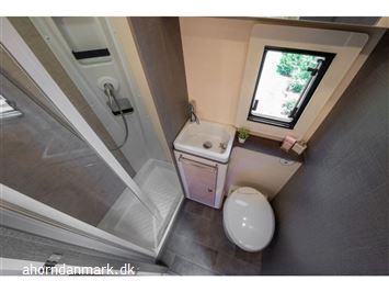 undefined Ahorn CANADA fra 2025