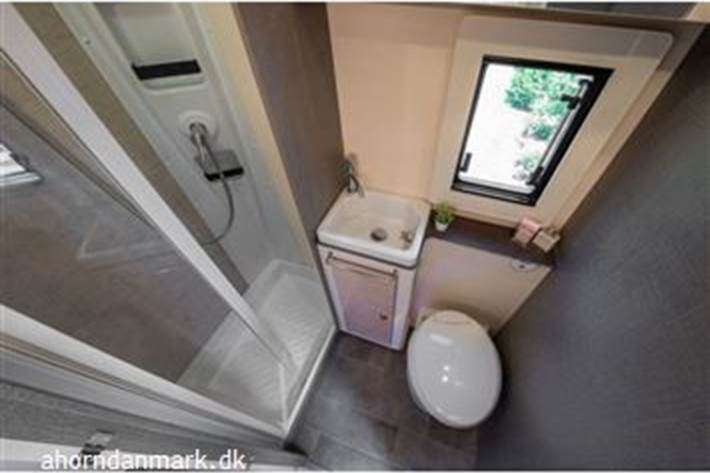 undefined Ahorn CANADA fra 2025