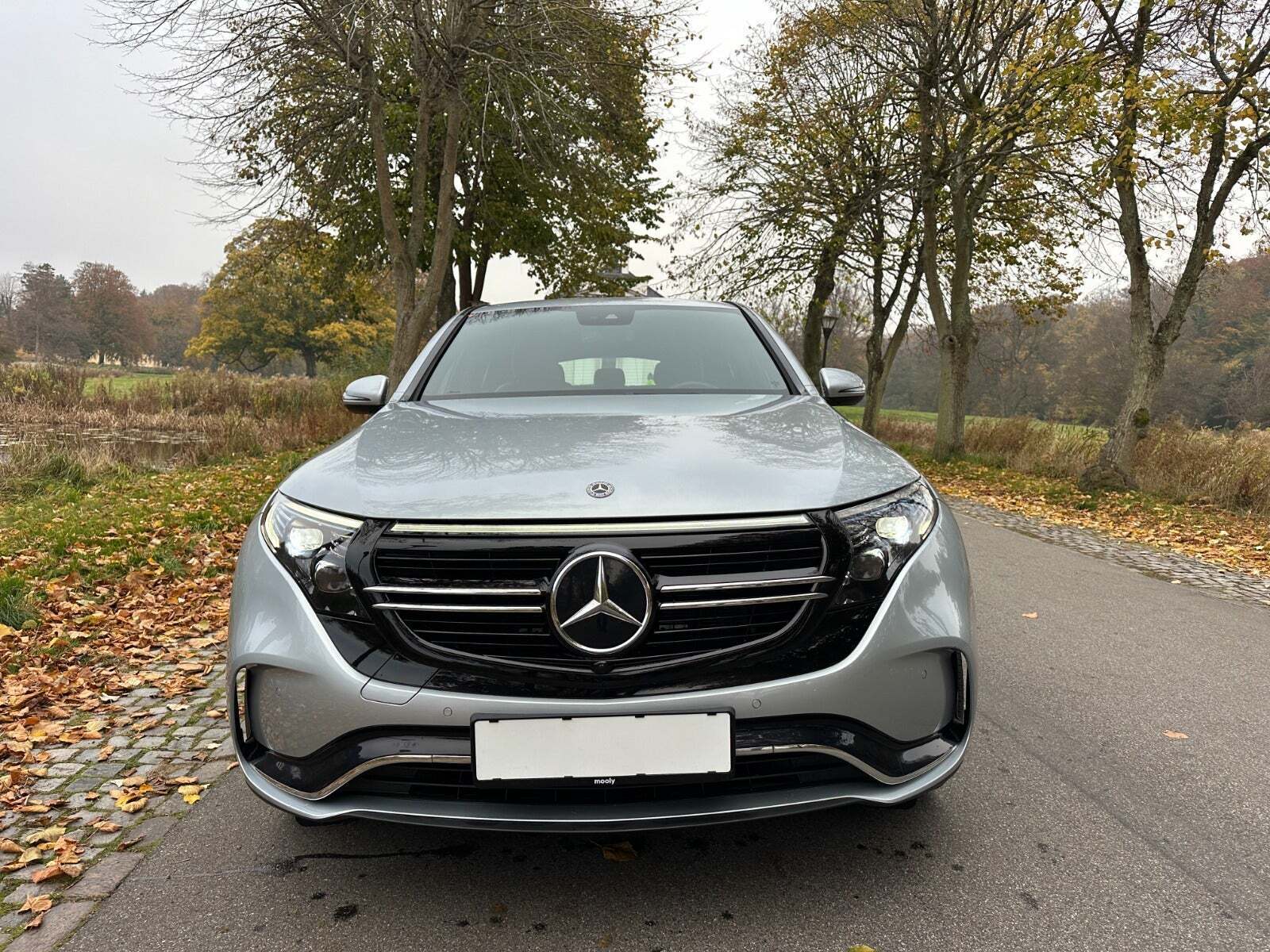 Mercedes EQC400 AMG Line 4Matic