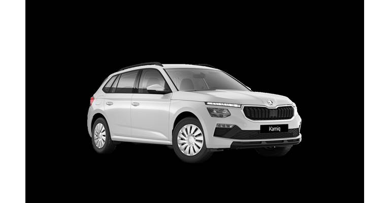 Skoda Kamiq 1.0 TSI Selection DSG (Årgang 01/2024 og frem)