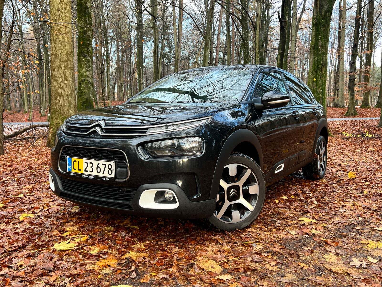 Sort Citroën C4 Cactus fra 2019 set udefra
