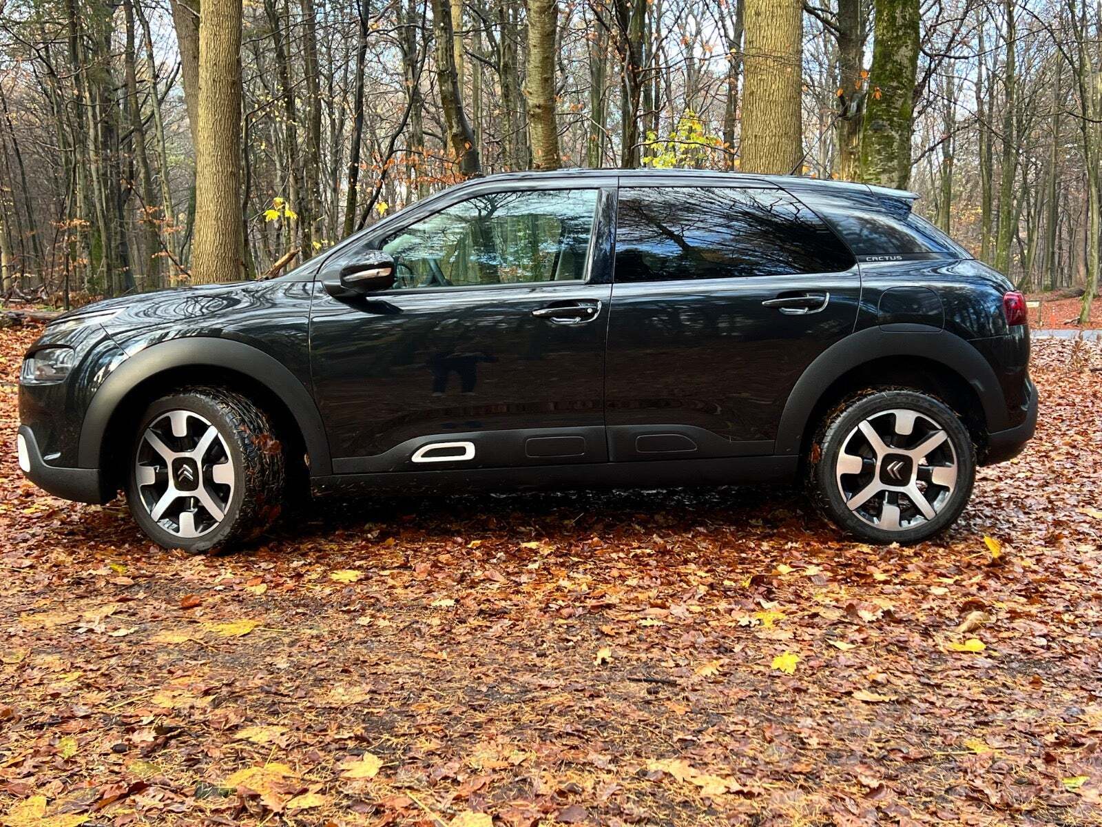 Sort Citroën C4 Cactus fra 2019