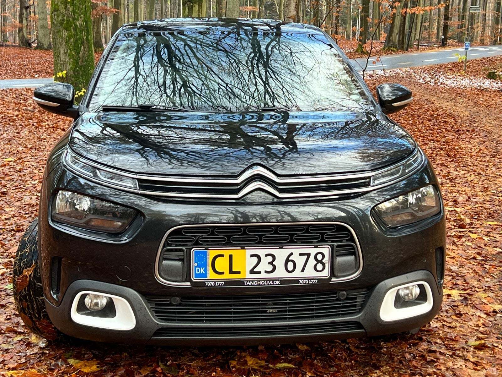 Sort Citroën C4 Cactus fra 2019