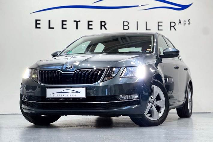 Grå Skoda Octavia fra 2018 set udefra