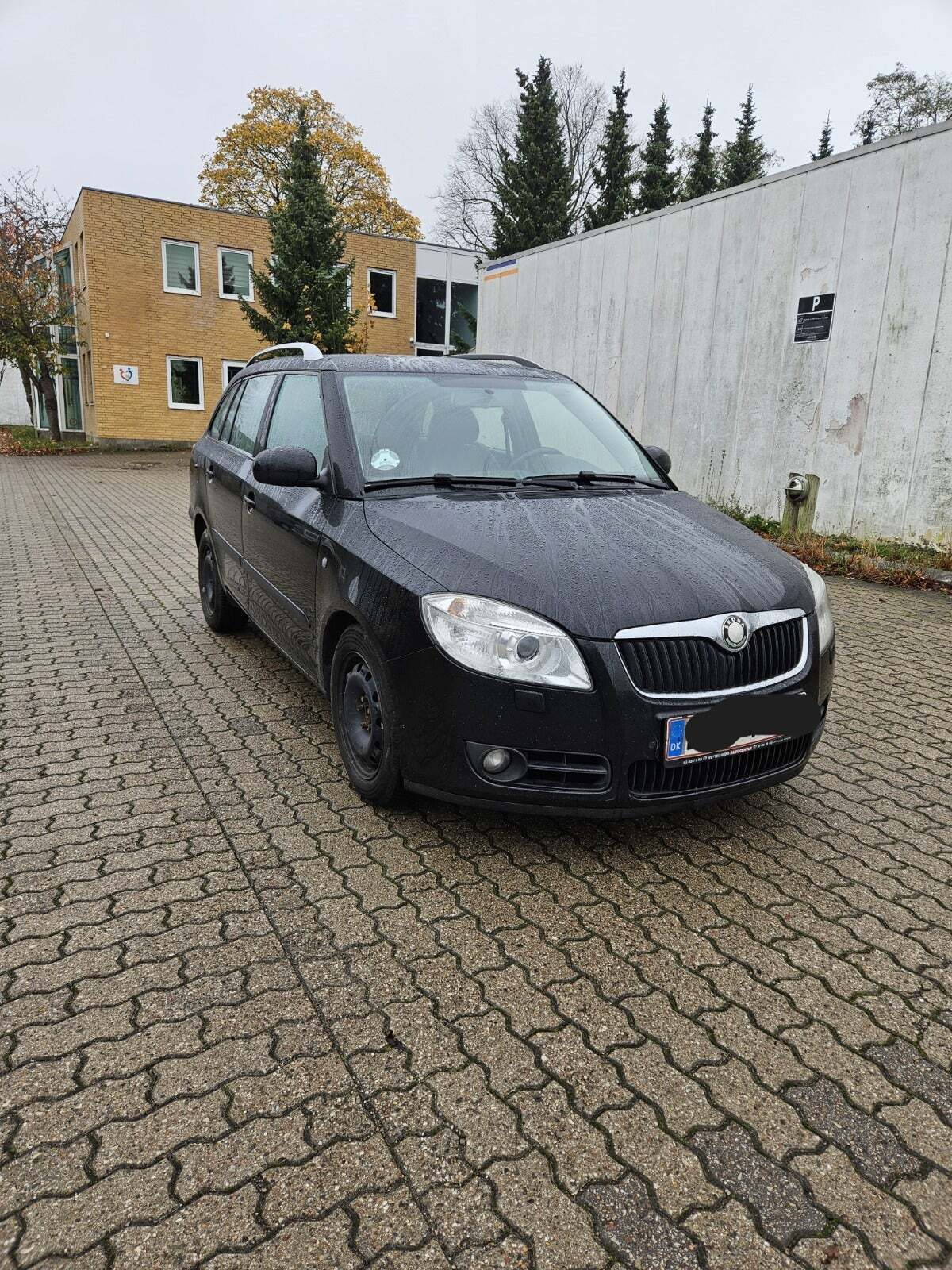 Sort Skoda Fabia fra 2008 set udefra