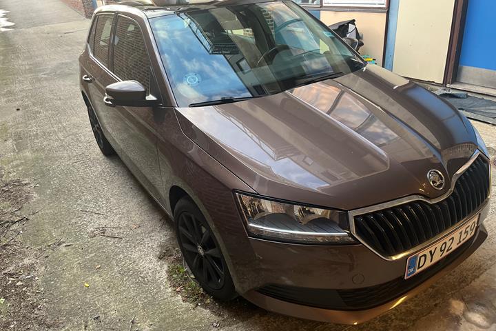 Brun Skoda Fabia fra 2019