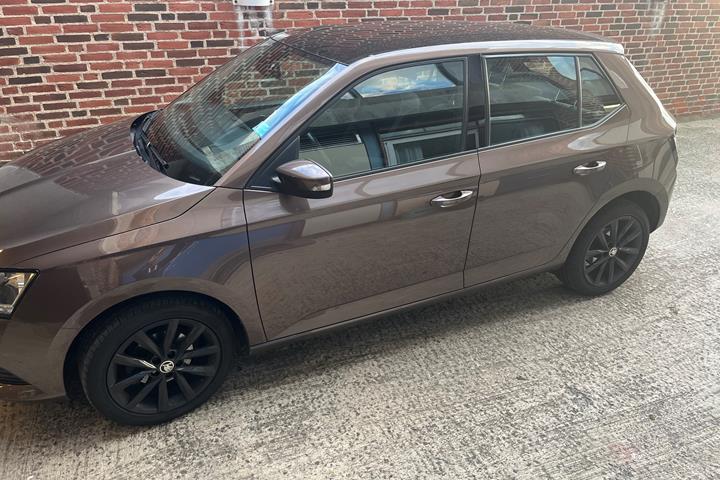 Brun Skoda Fabia fra 2019