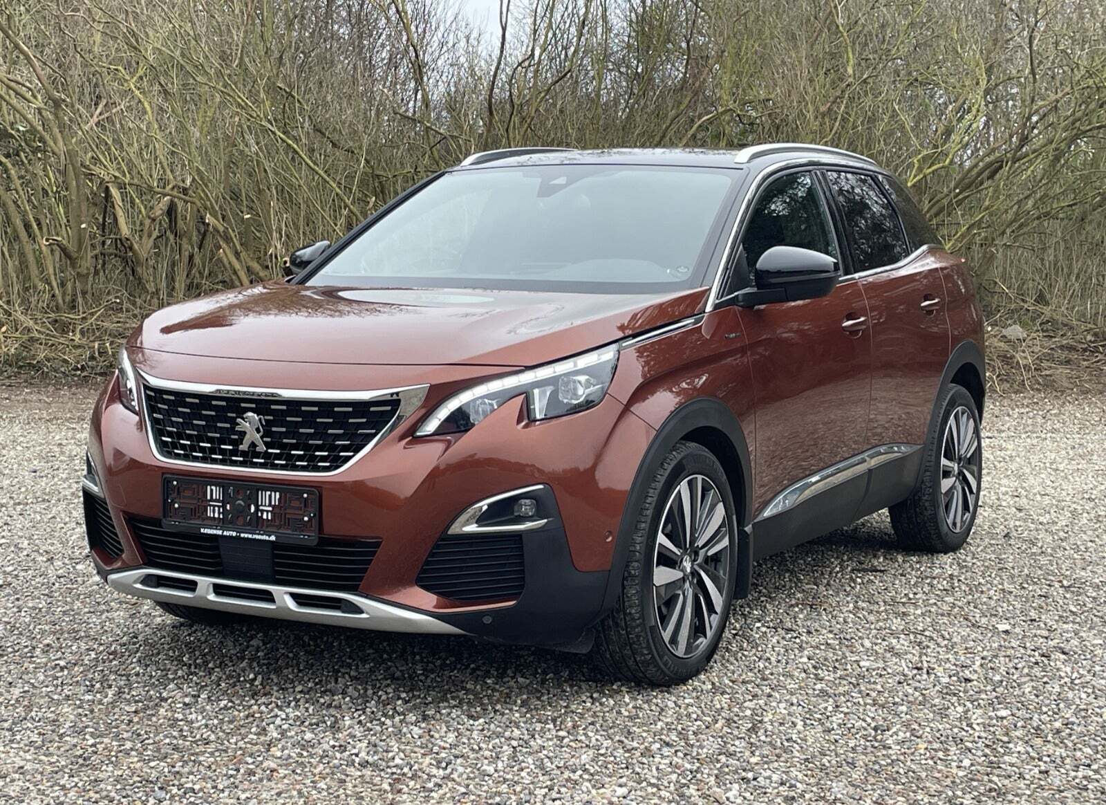 Bronze Peugeot 3008 fra 2019 set udefra