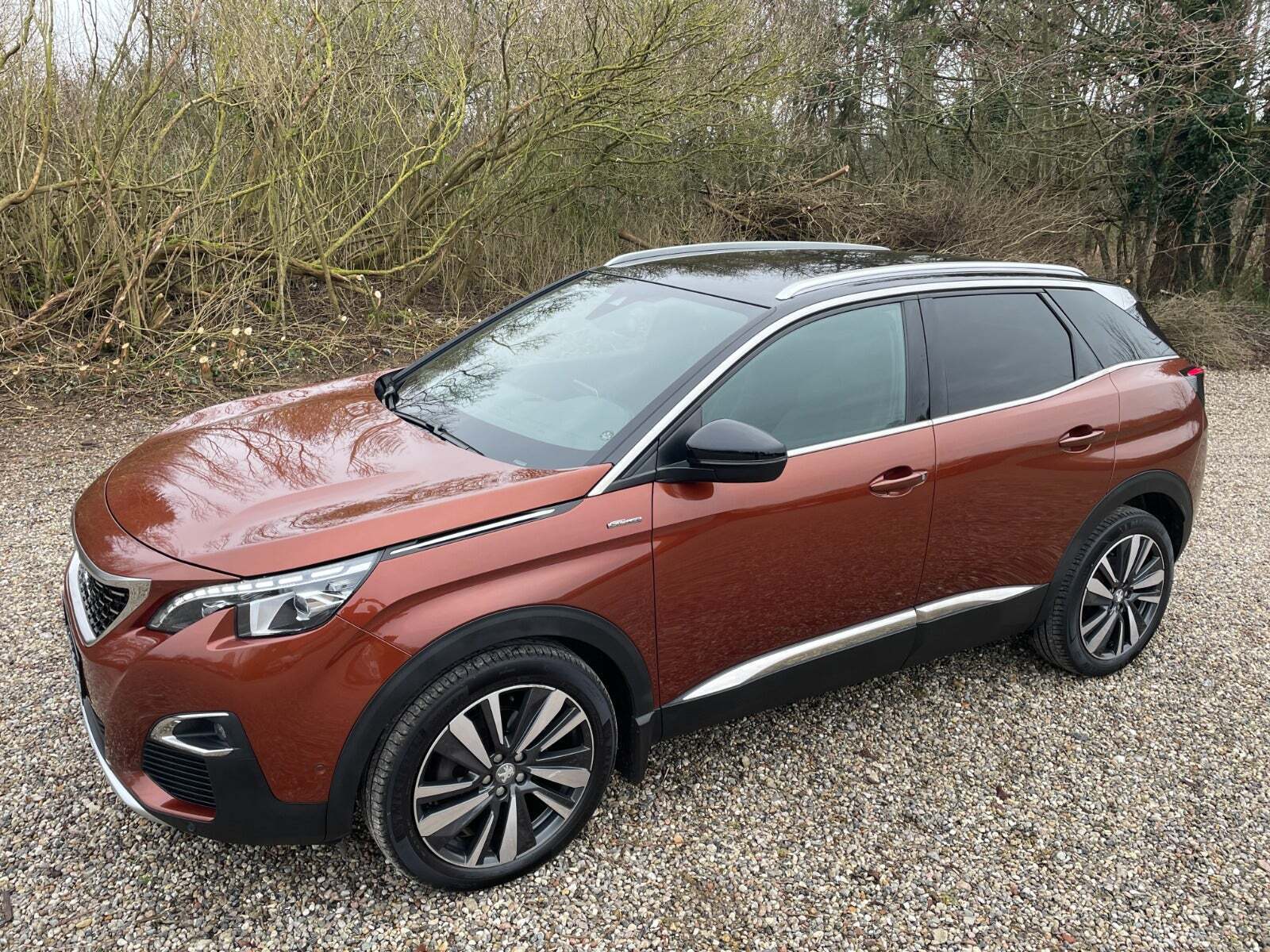 Bronze Peugeot 3008 fra 2019