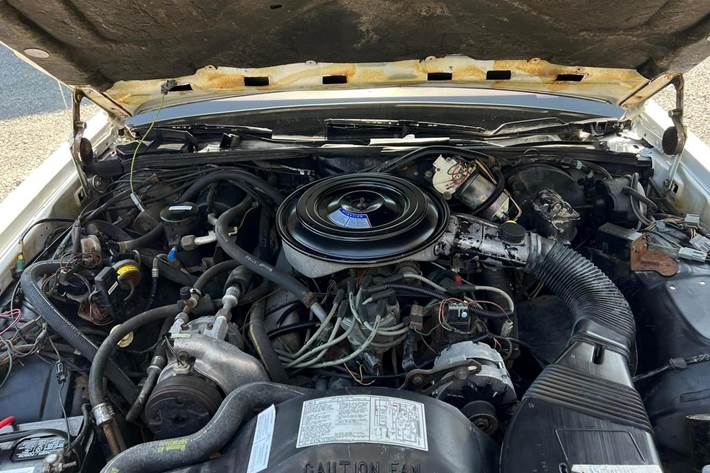 Hvid Ford Crown Victoria fra 1984