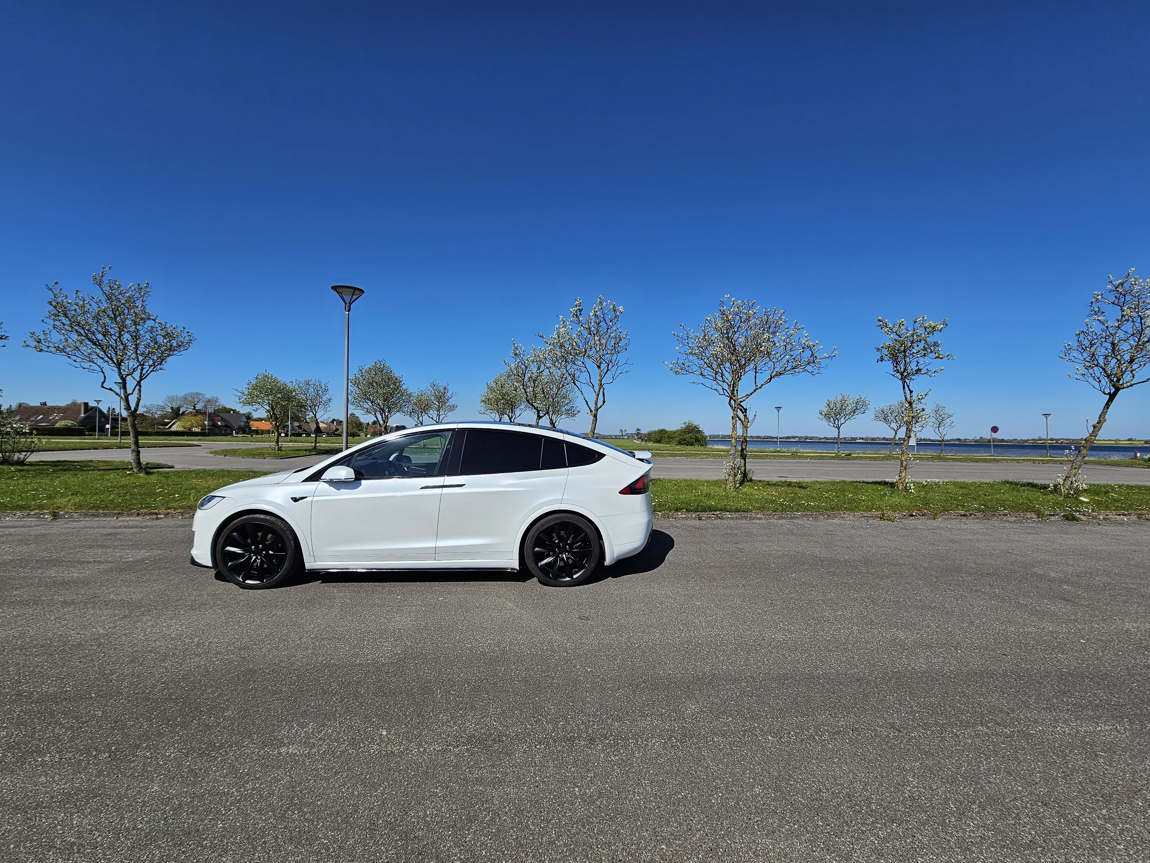 Tesla Model X 100D Long Range 6-personers