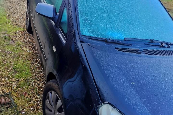Sort Ford C-MAX fra 2008