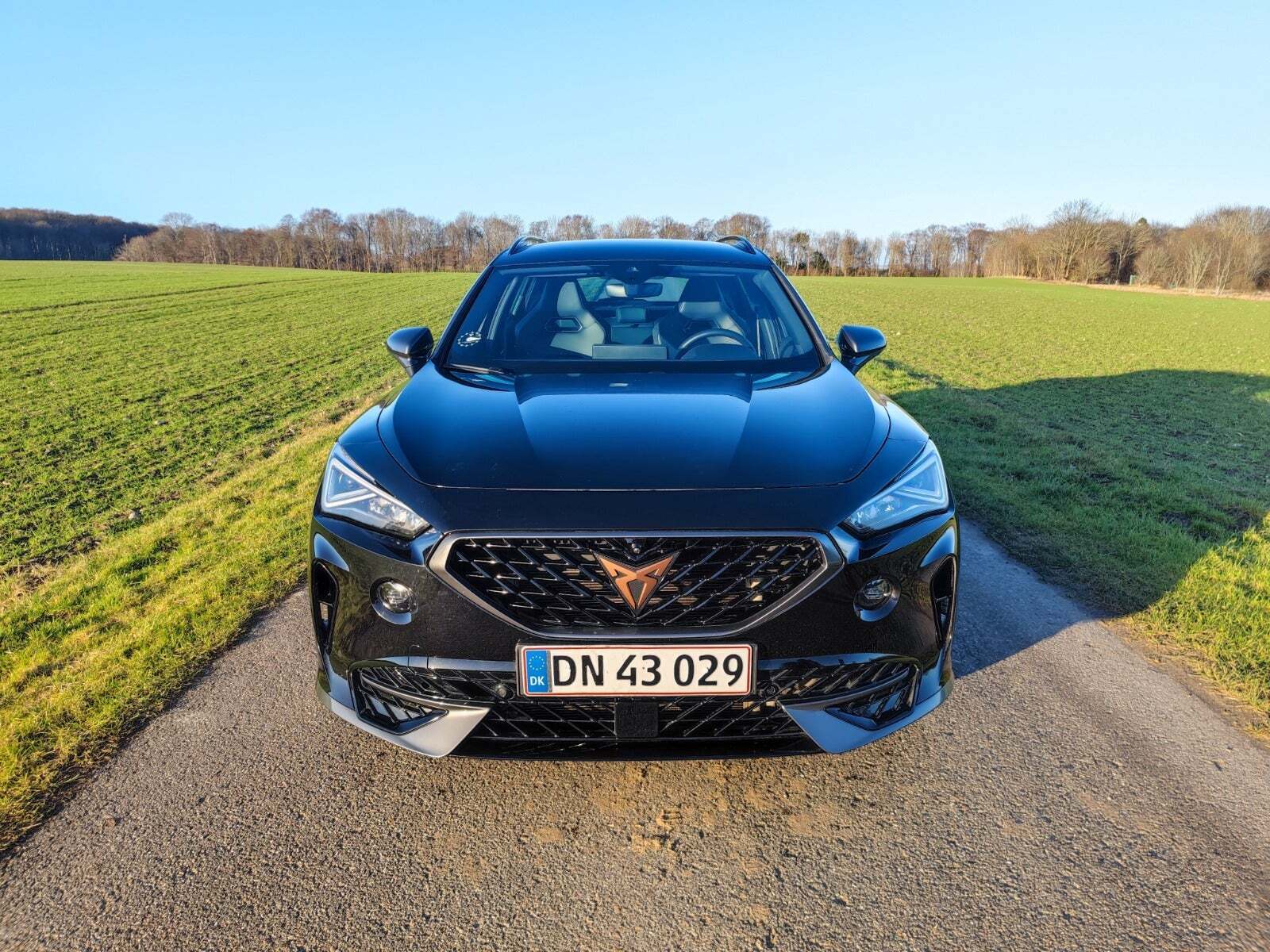 undefined Cupra Formentor fra 2023