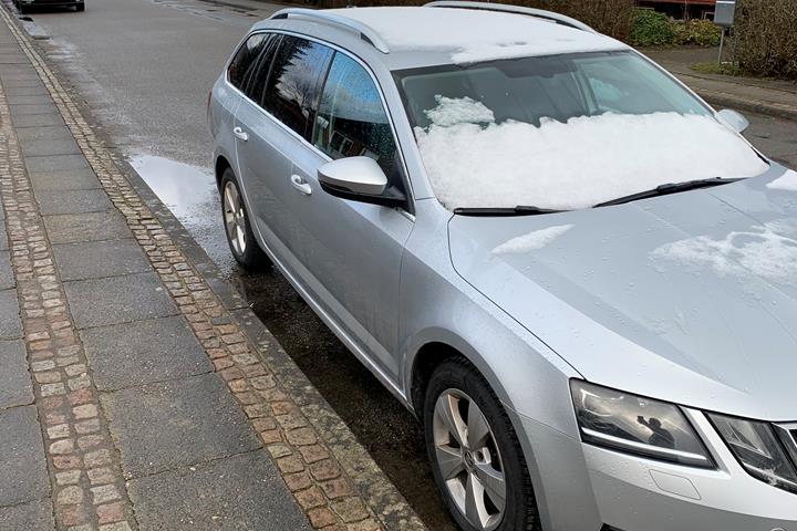 Sølv Skoda Octavia fra 2019