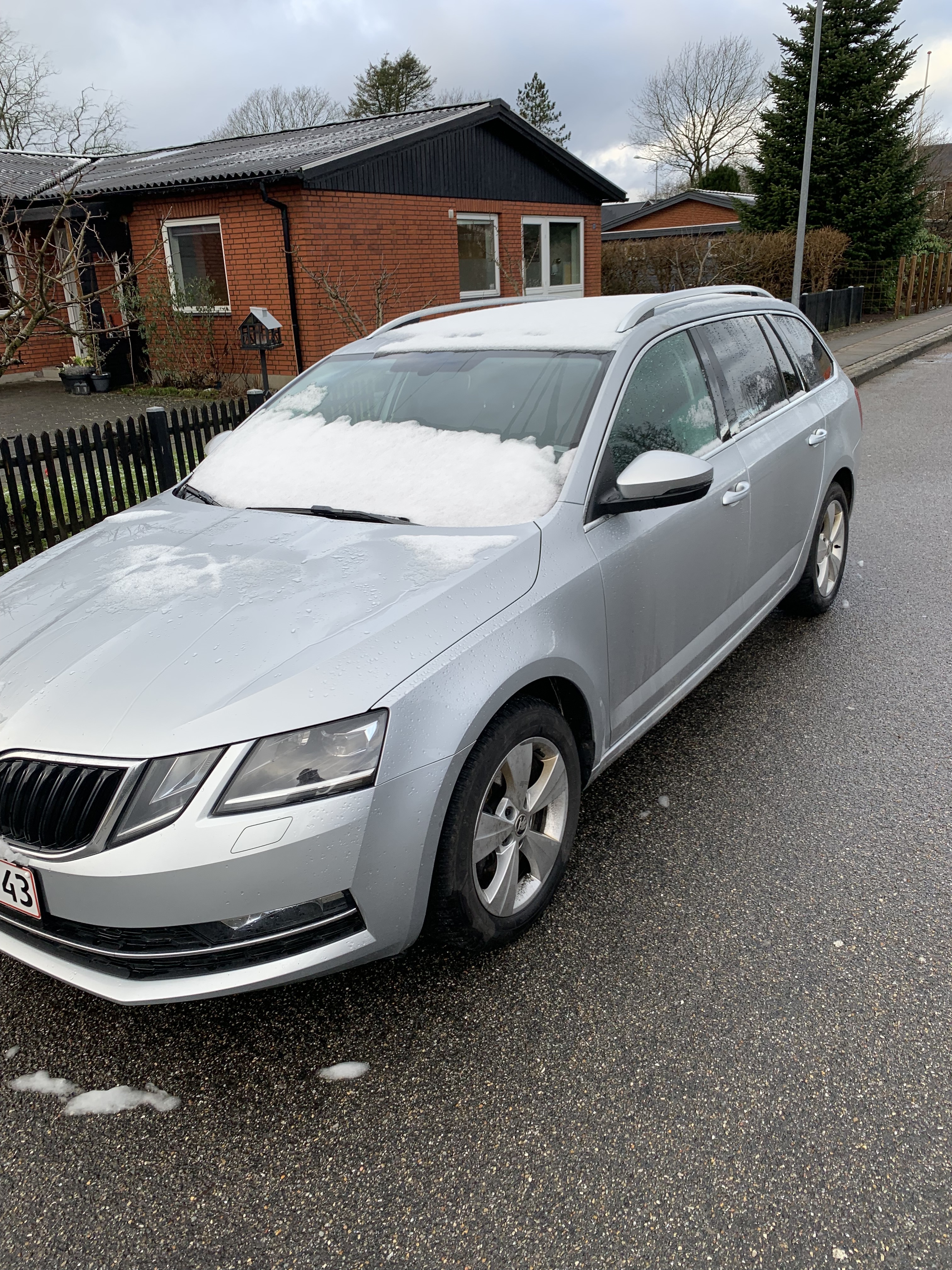 Sølv Skoda Octavia fra 2019