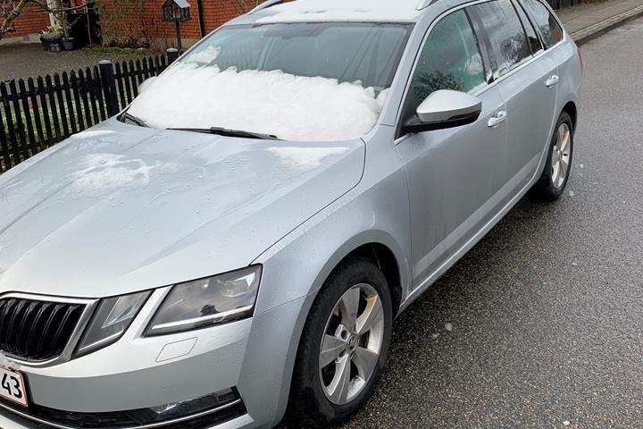 Sølv Skoda Octavia fra 2019