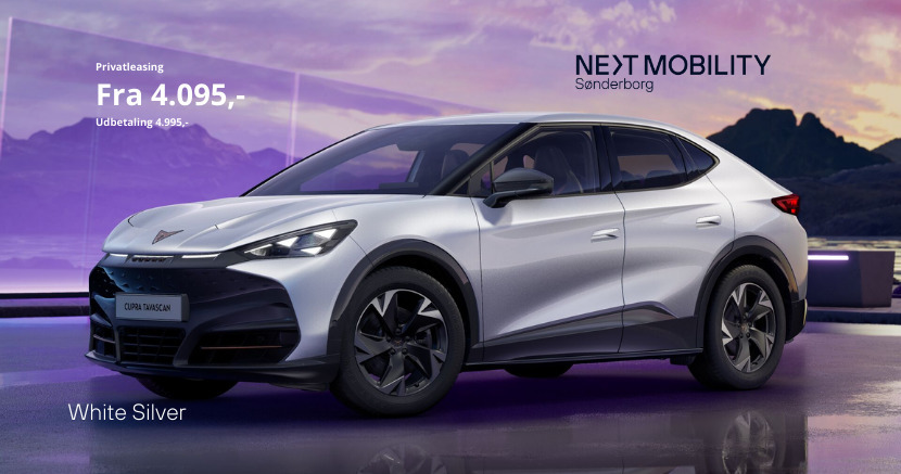 undefined Cupra Tavascan fra 2024