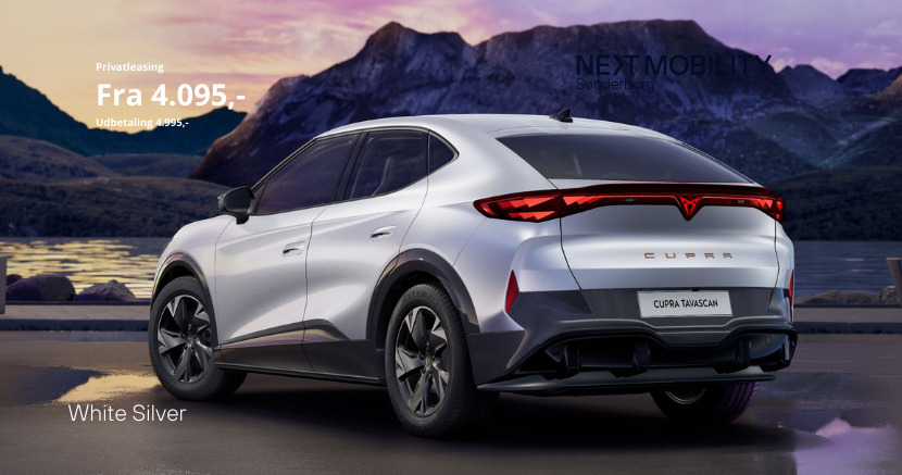 undefined Cupra Tavascan fra 2024