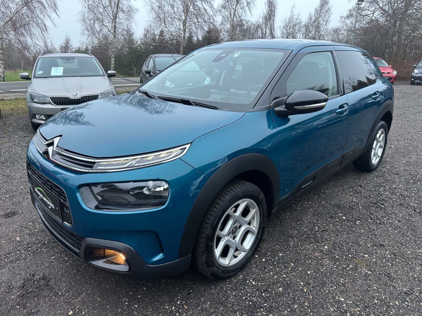 Blå Citroën C4 Cactus fra 2019