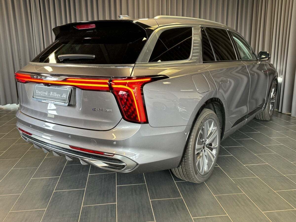 Hongqi E-HS9 99 Exclusive