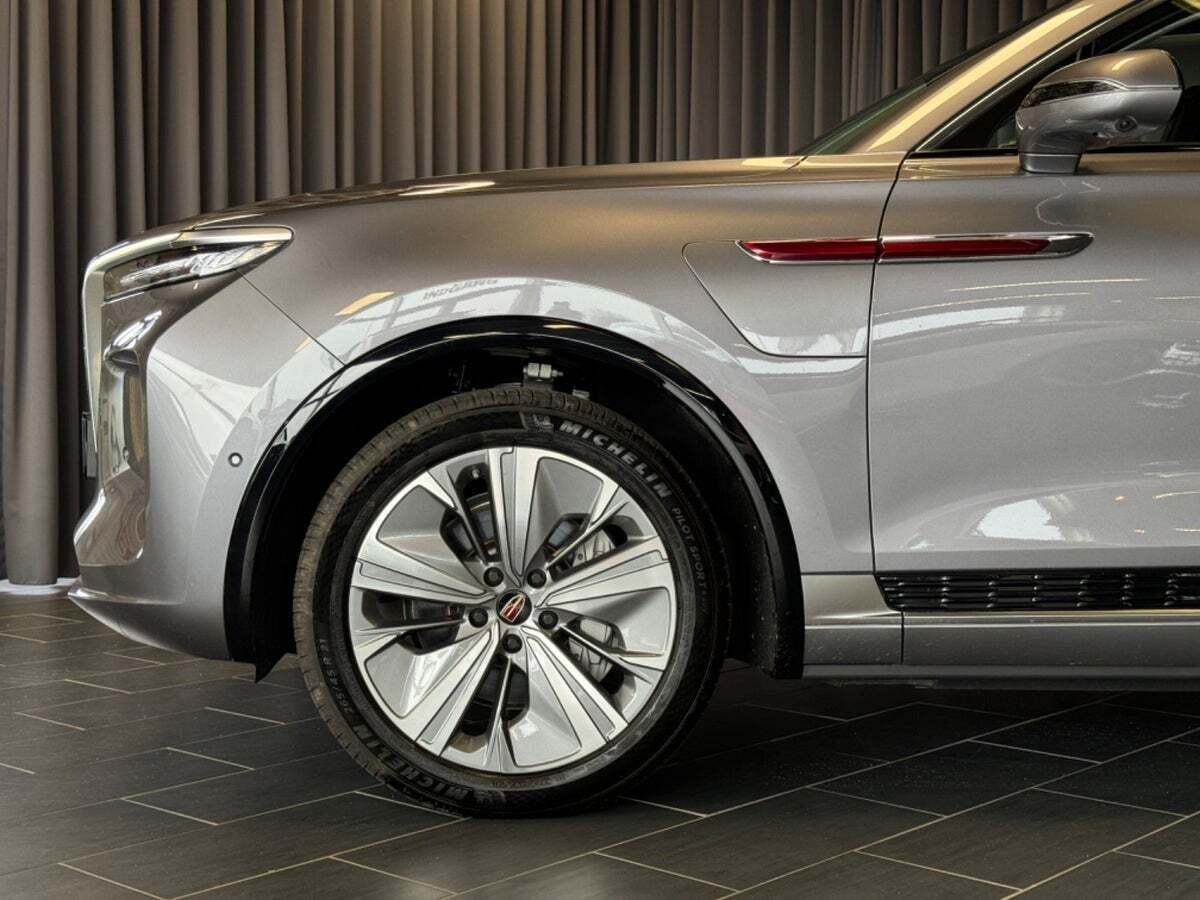 Hongqi E-HS9 99 Exclusive