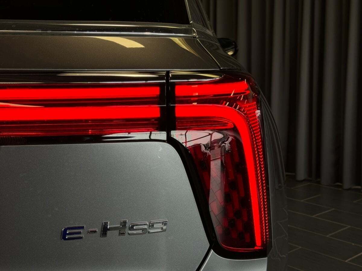 Hongqi E-HS9 99 Exclusive