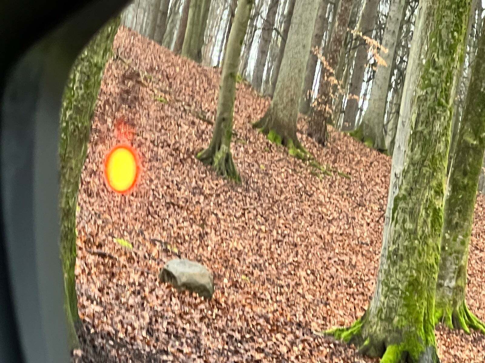 Grøn Peugeot 208 fra 2024 set udefra