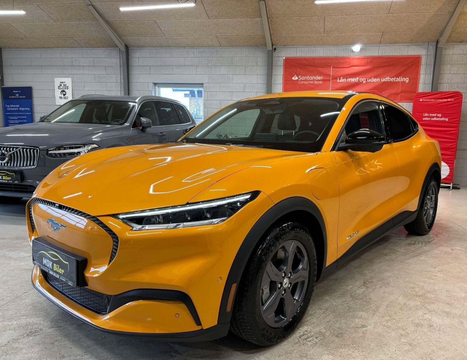 undefined Ford Mustang Mach-E fra 2023