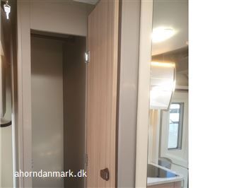 undefined Ahorn CANADA fra 2023