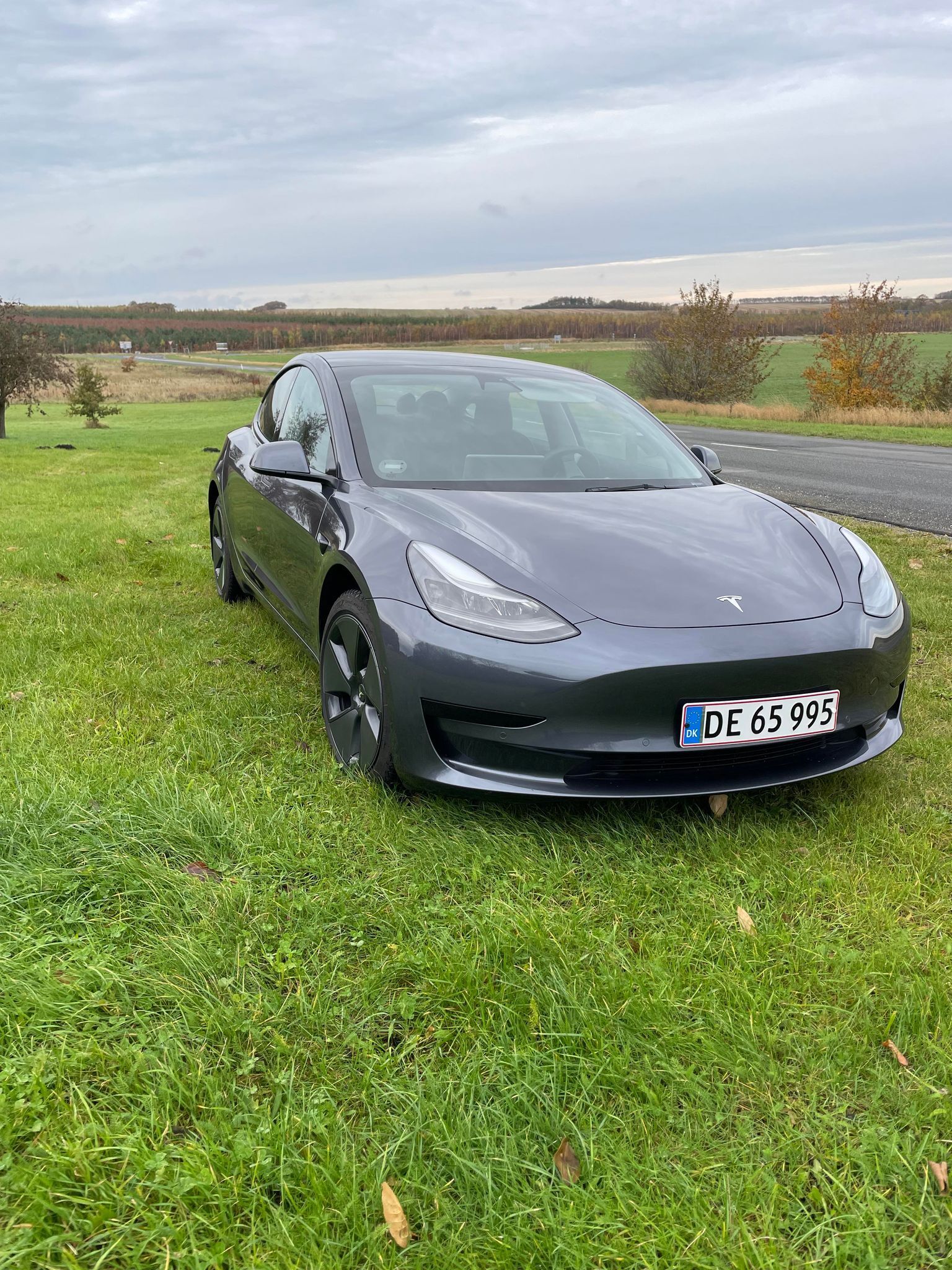 undefined Tesla Model 3 fra 2021