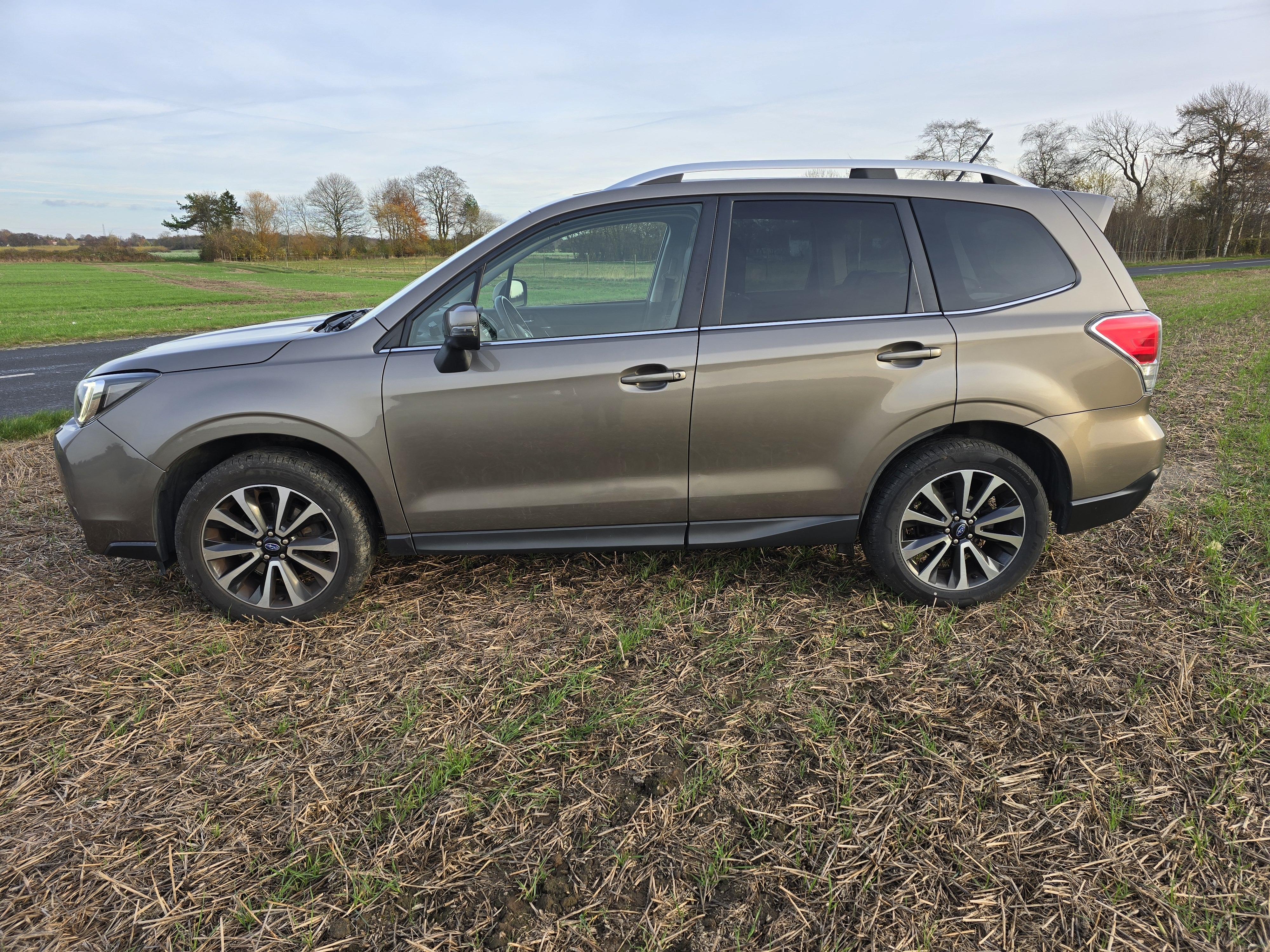 Bronze Subaru Forester fra 2016