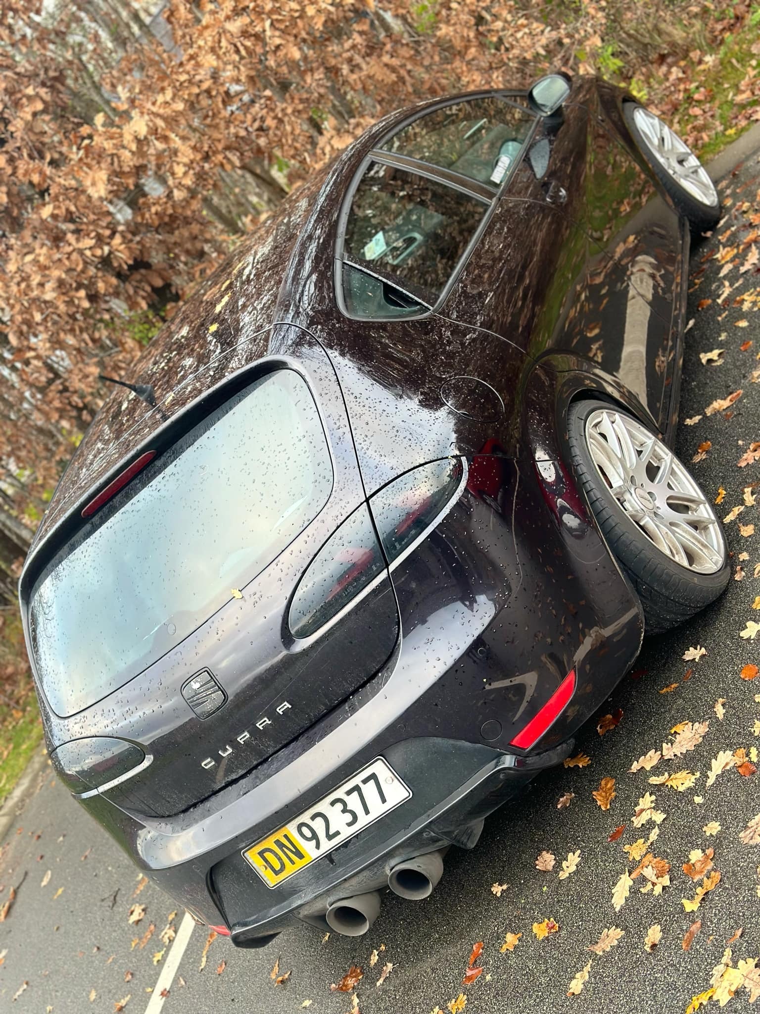 undefined Seat Leon fra 2009