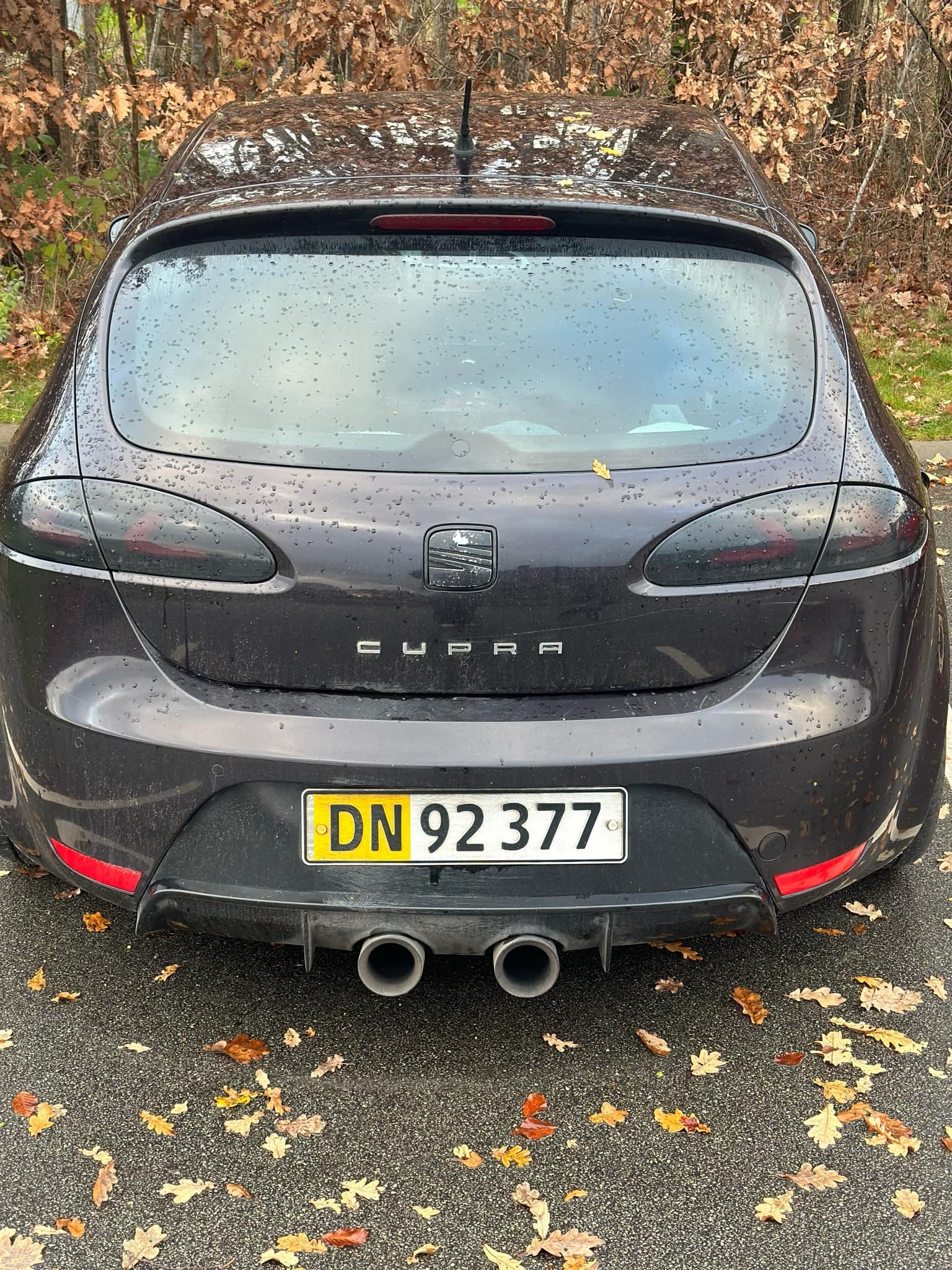 undefined Seat Leon fra 2009