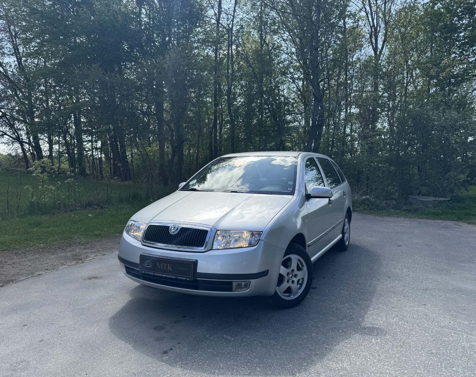 Sølv Skoda Fabia fra 2004