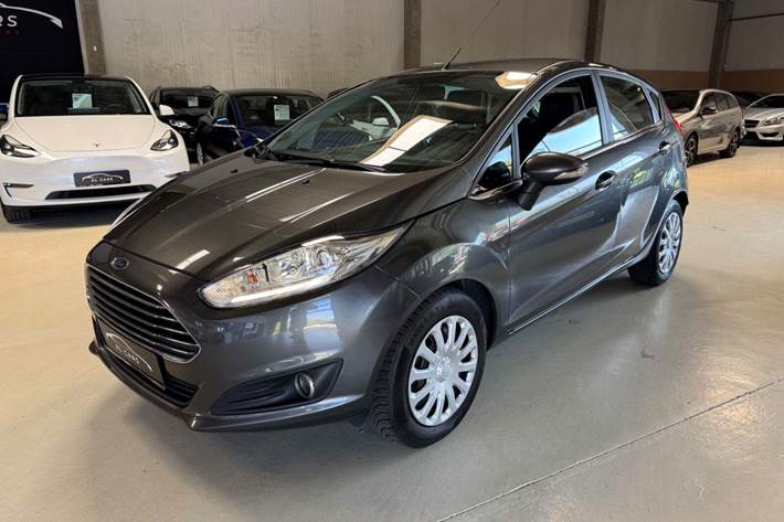 Grå Ford Fiesta fra 2016 set udefra