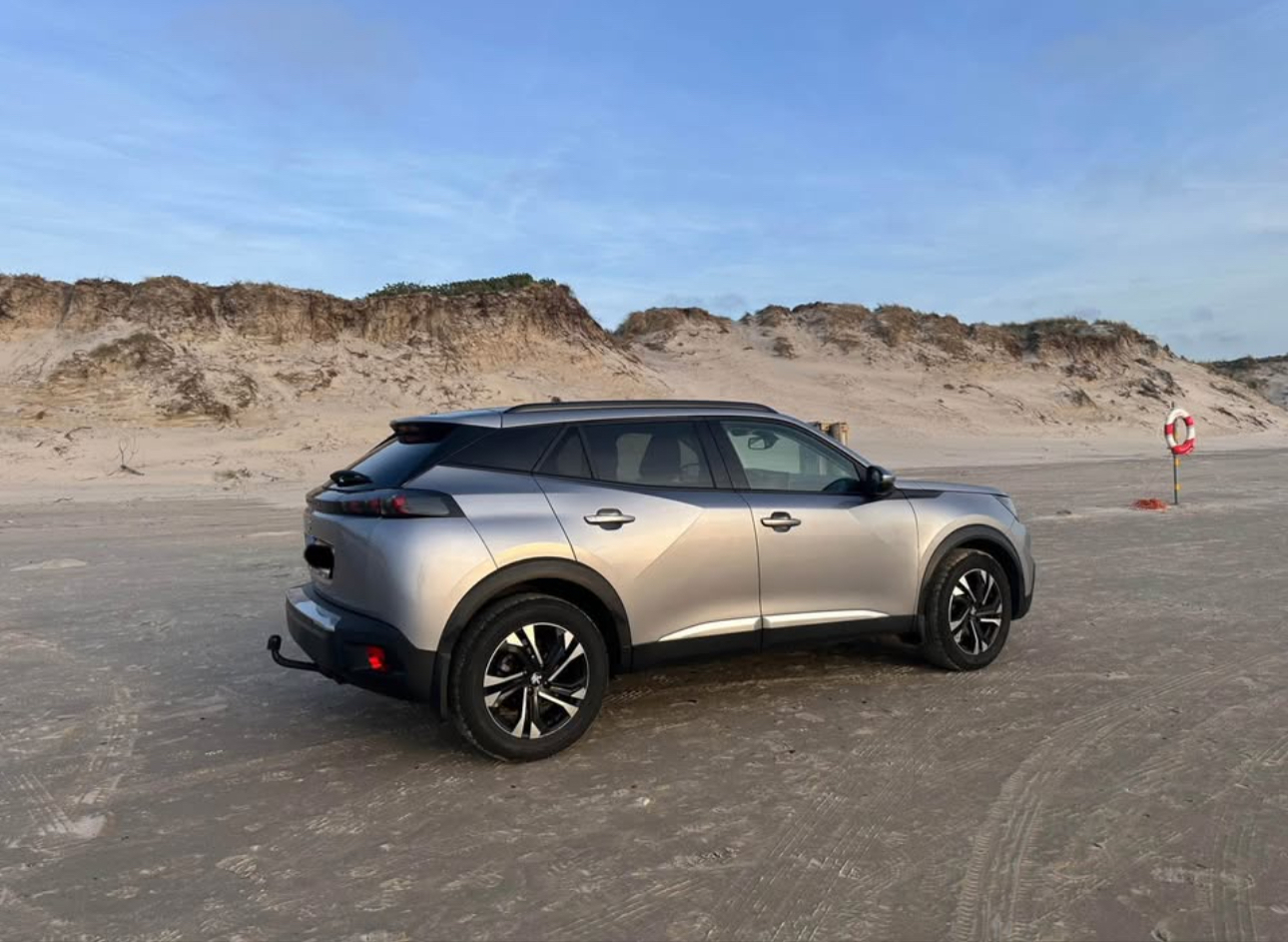 Peugeot 2008 1,5 BlueHDi 100 SUV