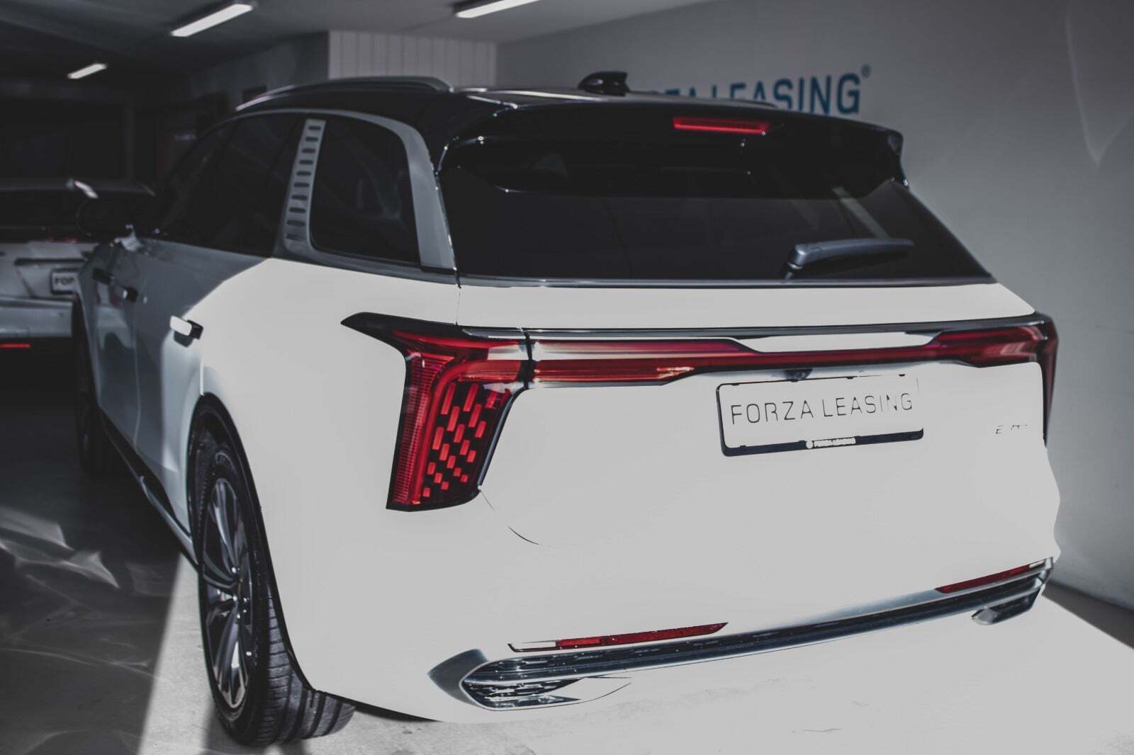 Hongqi E-HS9 99 Exclusive