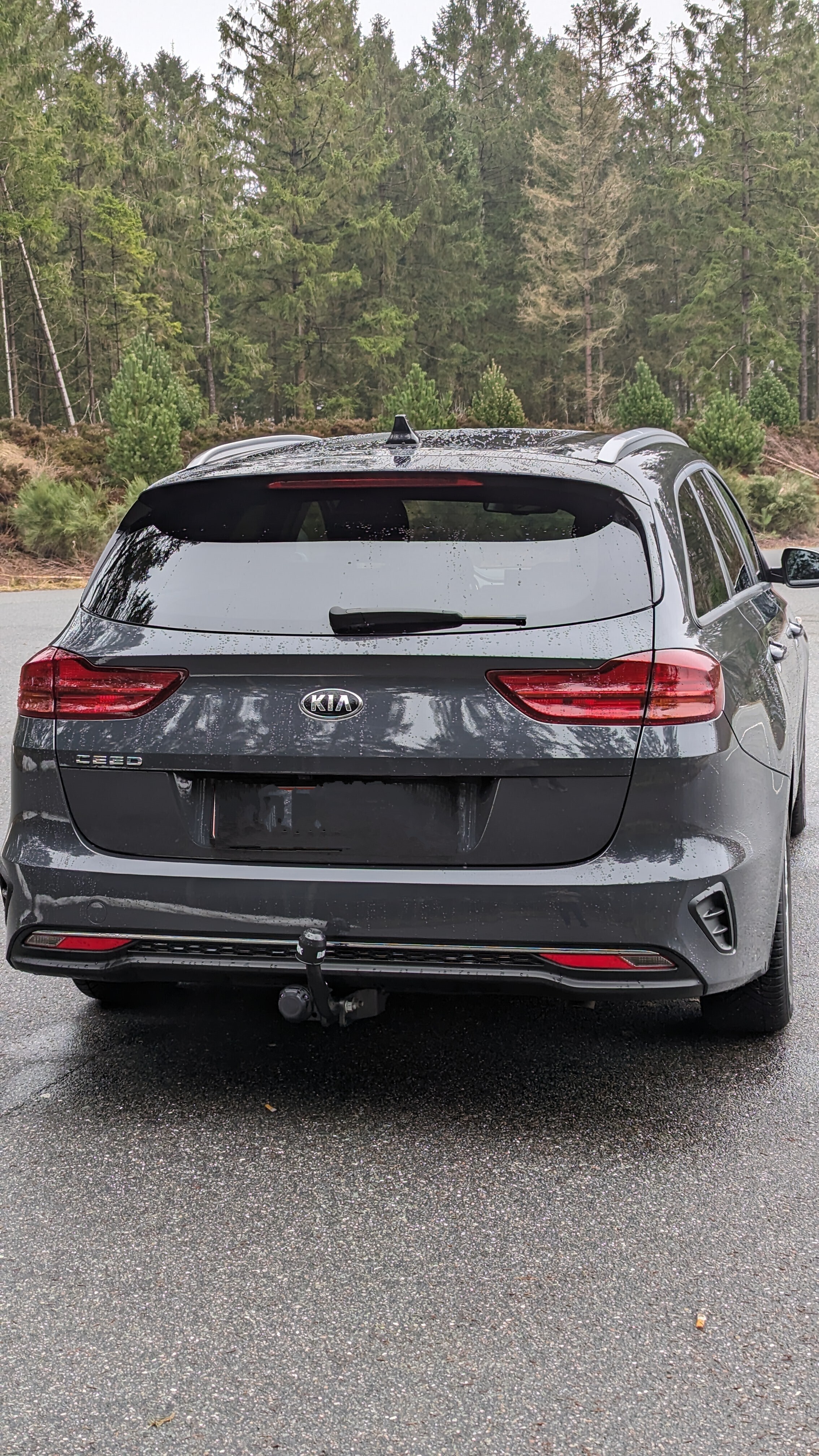 Grå Kia Ceed fra 2020