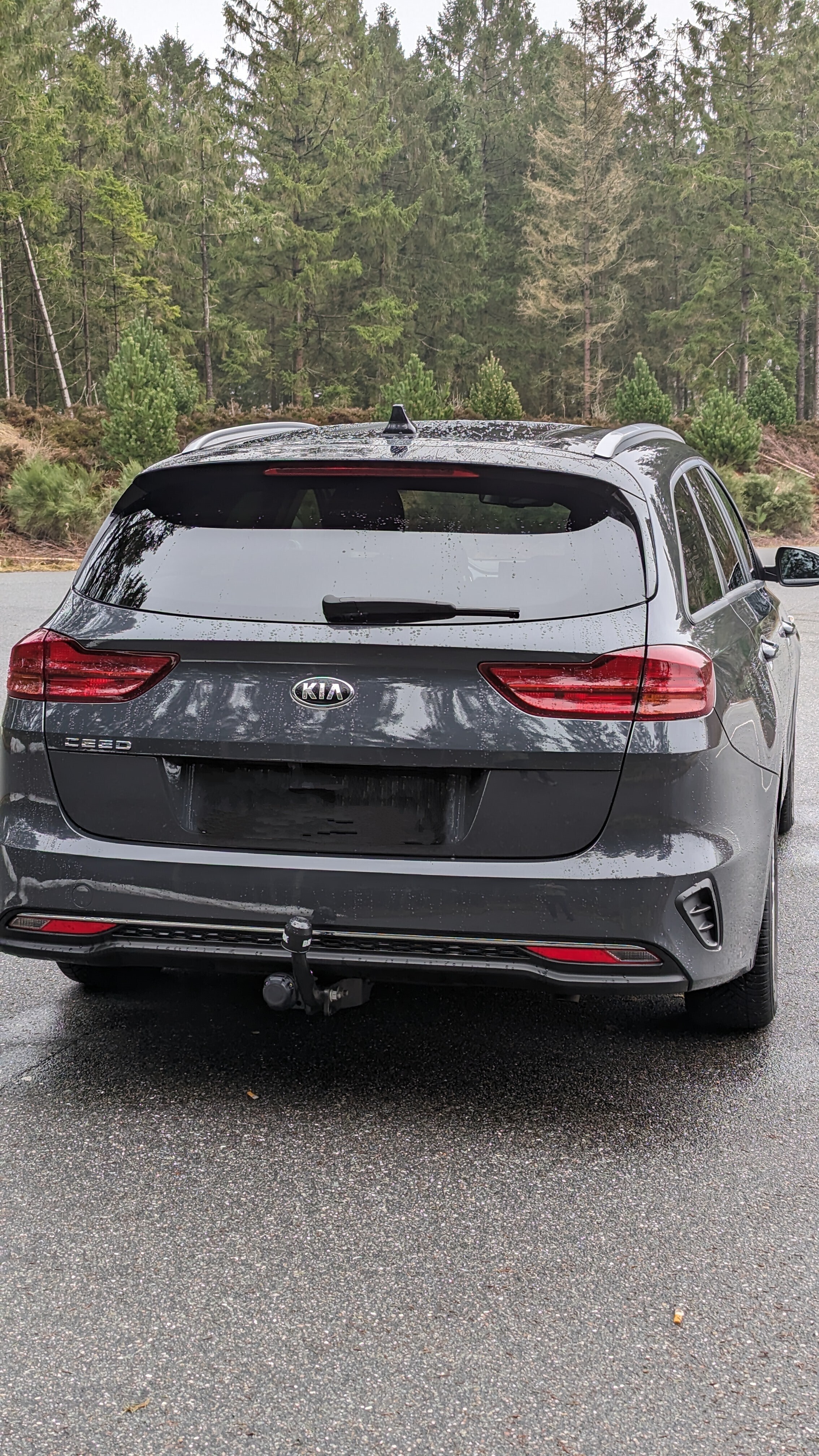 Grå Kia Ceed fra 2020