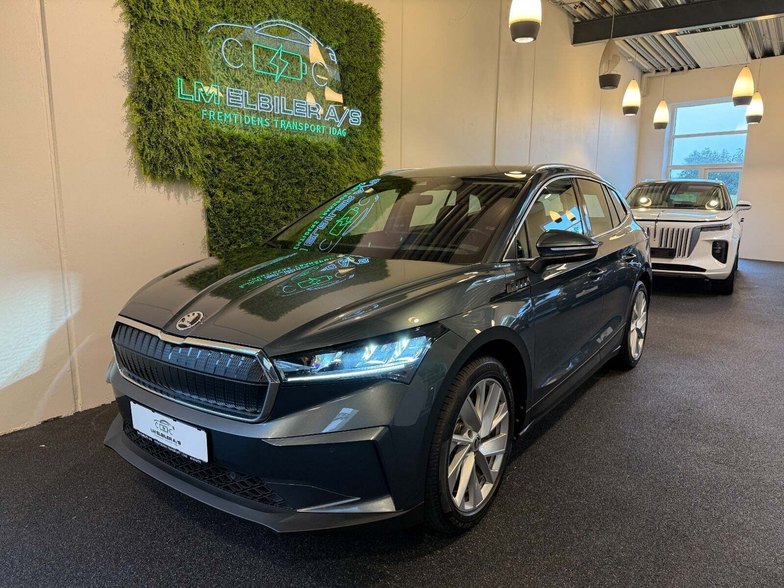 Skoda Enyaq 80 iV ecoSuite