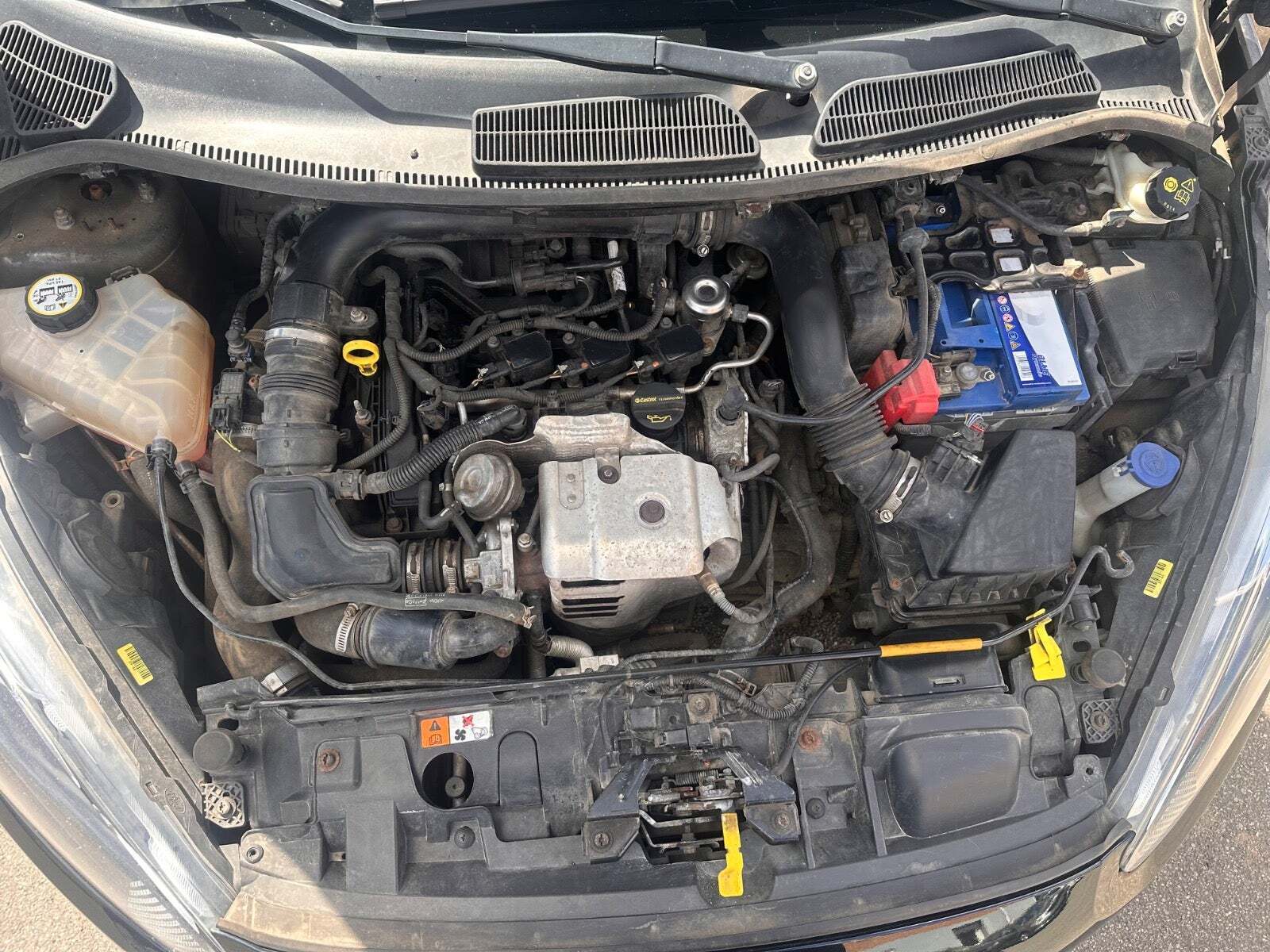 Grøn Ford Fiesta fra 2014