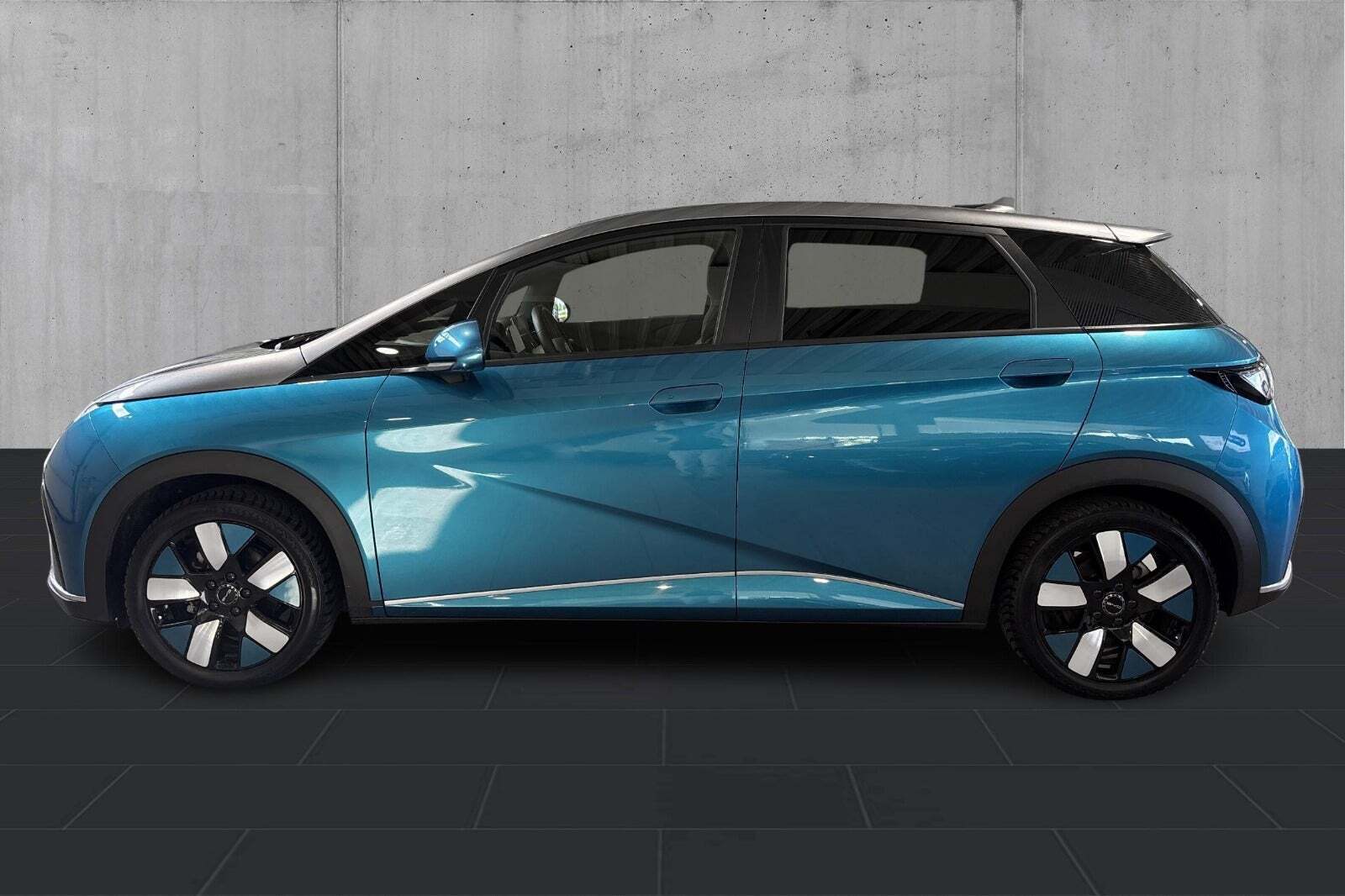 BYD Dolphin 60 Design