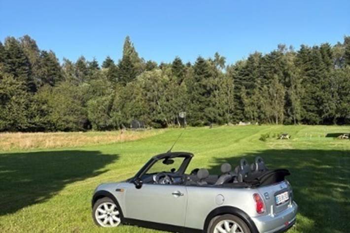 Grå Mini MINI Cooper Cabrio fra 2006