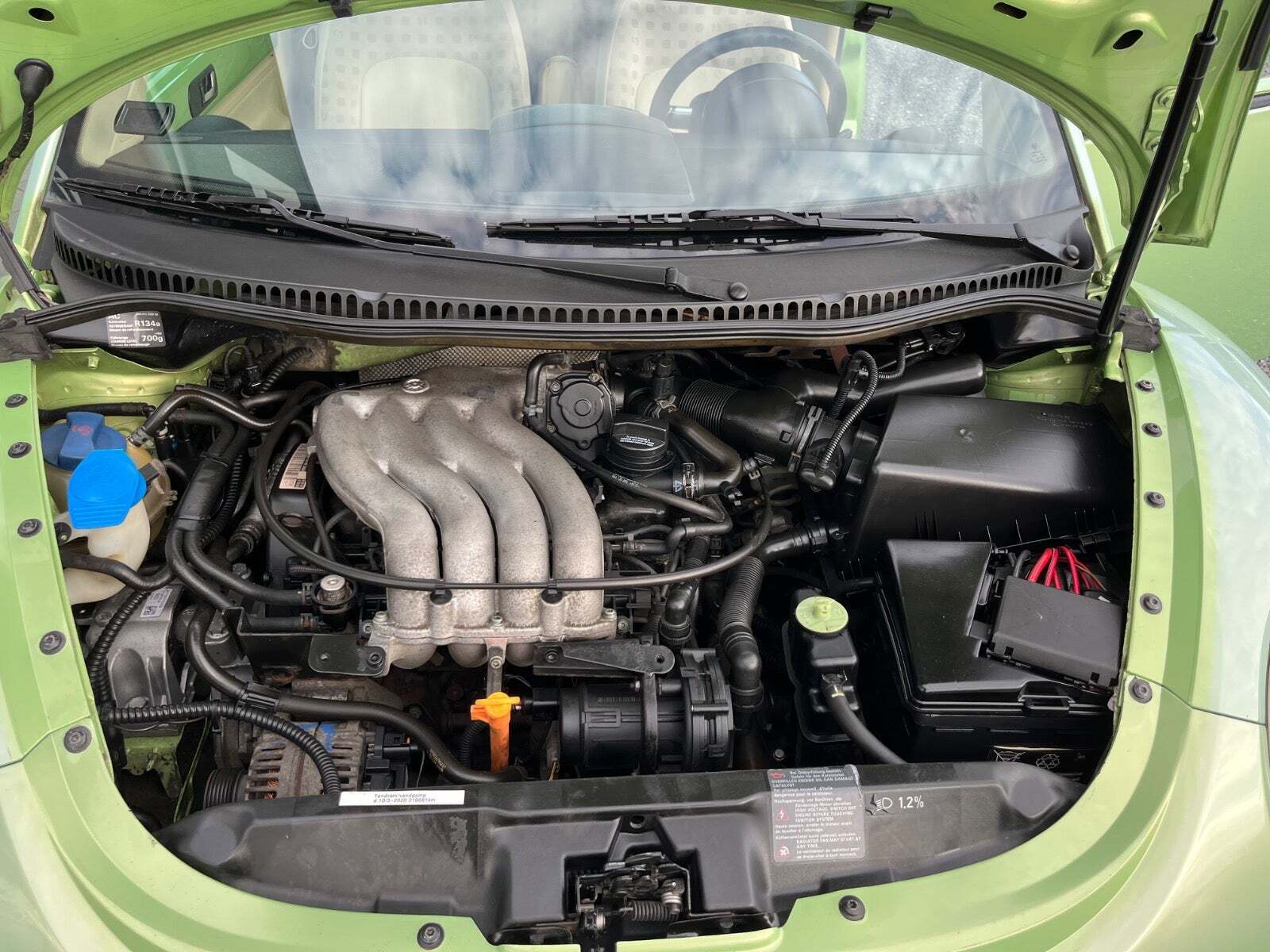 Grøn VW New Beetle fra 1999